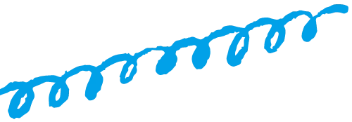 遊びが育む心と体